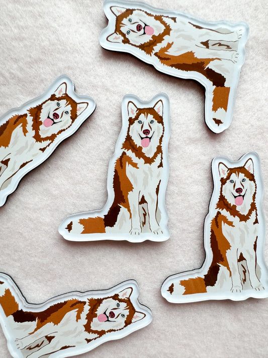 Siberian Husky, Alaskan Malamute (red) Magnet