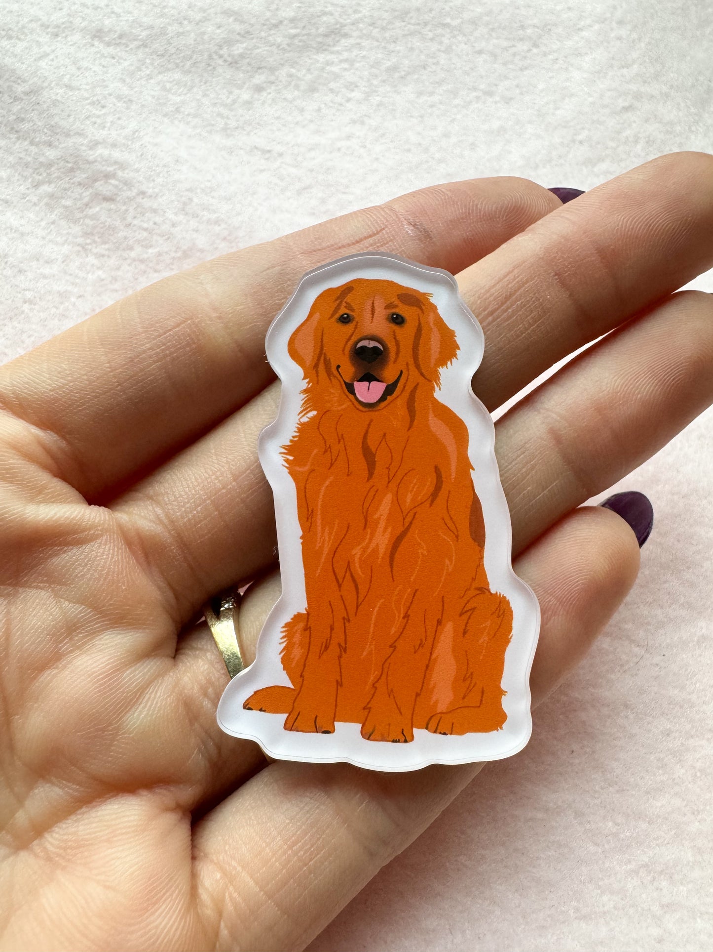 Golden Retriever (copper/red) Magnet
