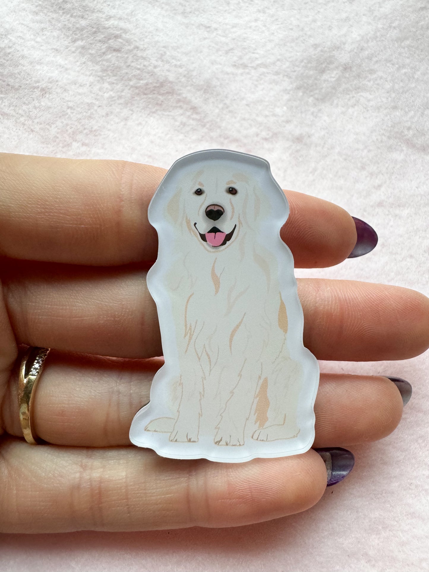Golden Retriever (english cream) Magnet