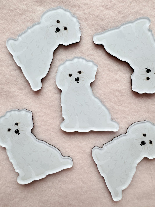 Maltese, Coton de Tulear Magnet