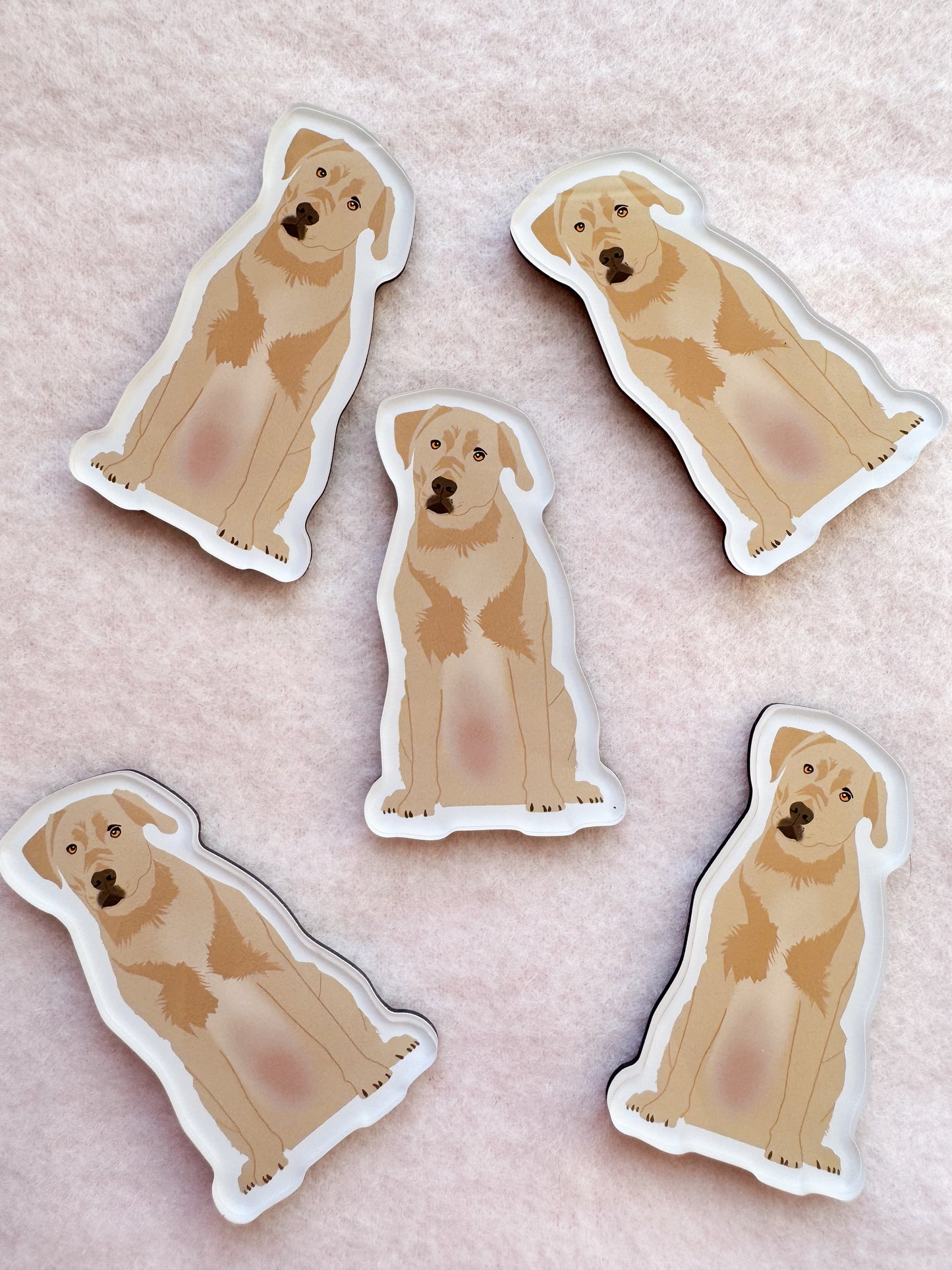 Labrador (yellow lab) Magnet