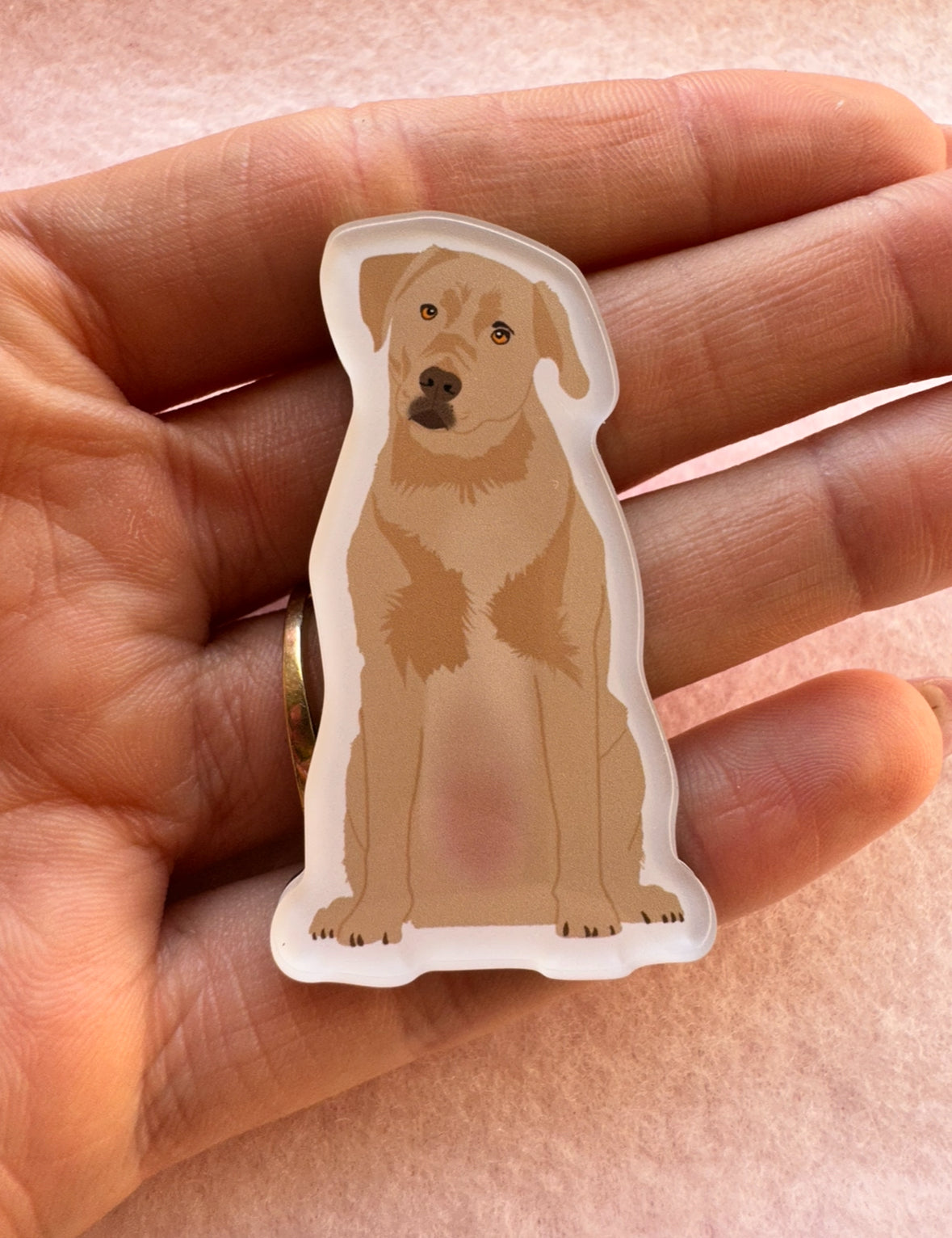 Labrador (yellow lab) Magnet