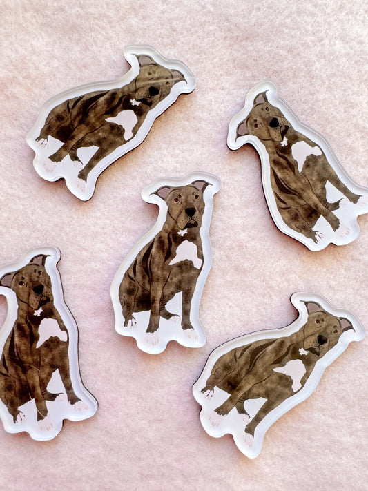Pit Bull (brindle) Magnet