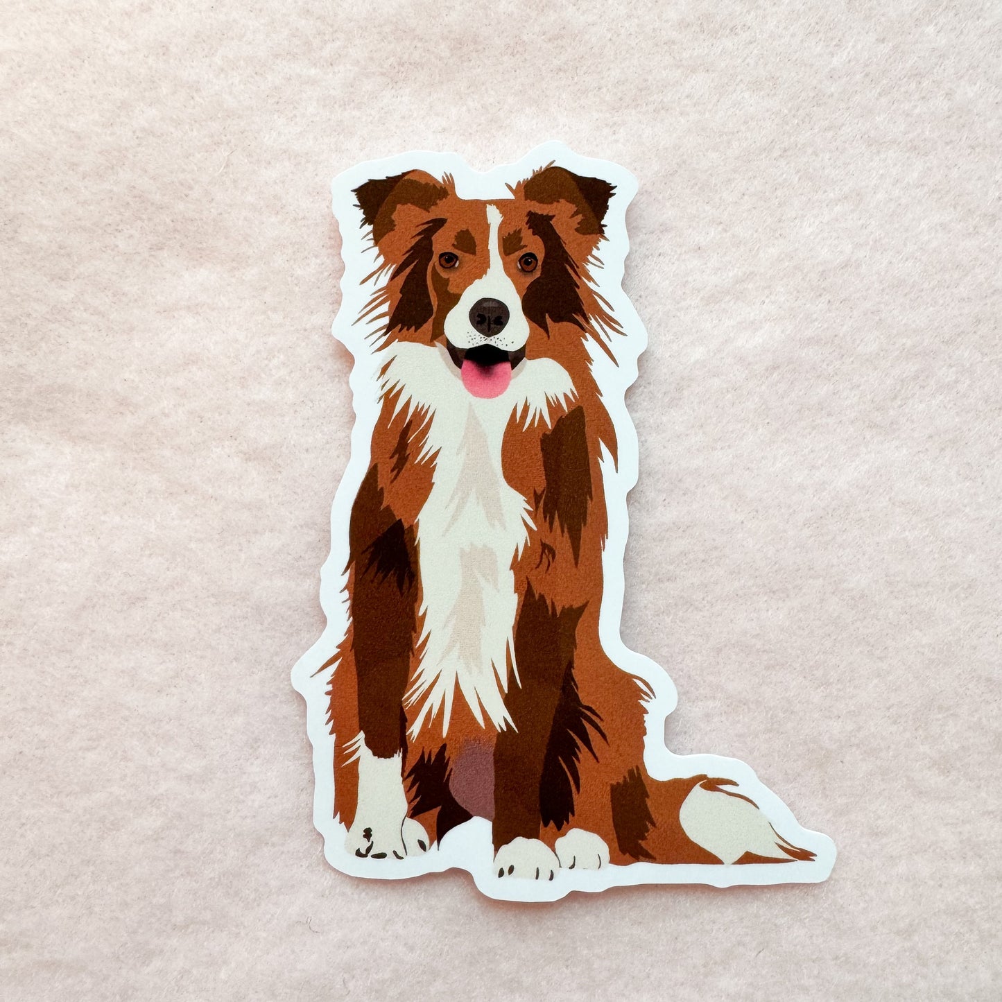 Border Collie (brown tri-color) Sticker