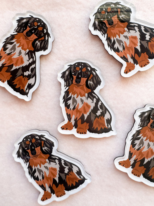 Dachshund (long haired dapple) Magnet