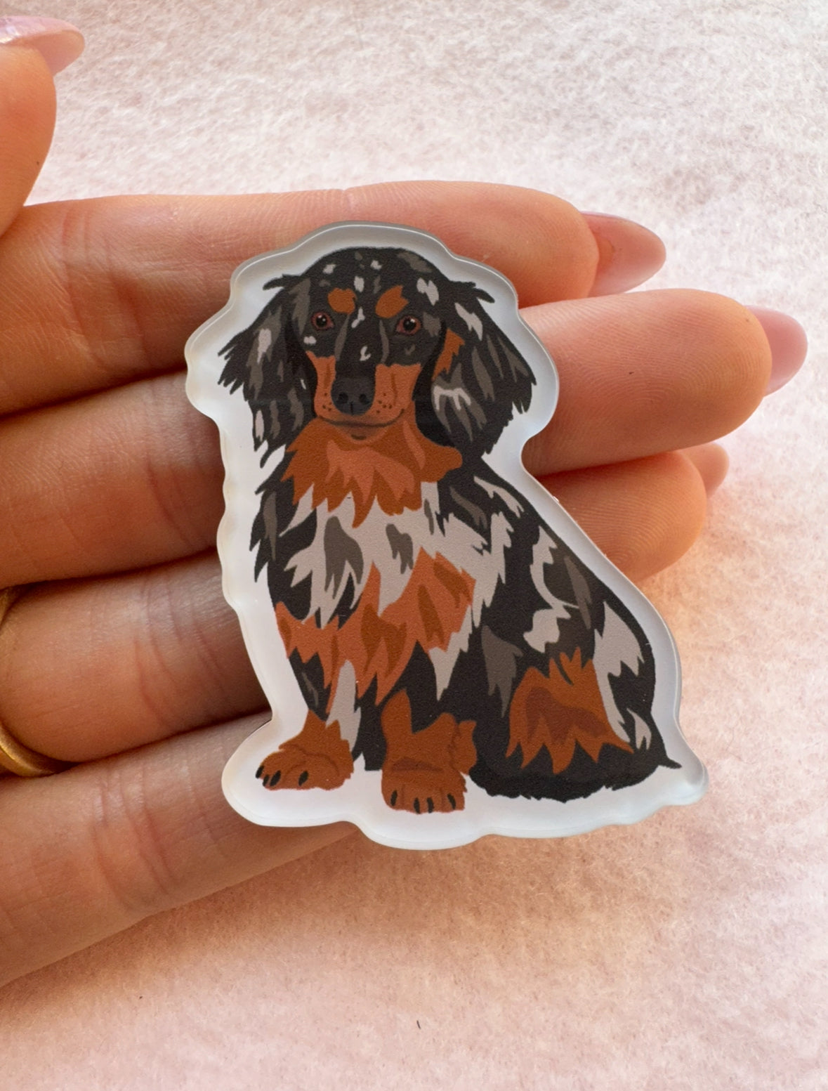 Dachshund (long haired dapple) Magnet