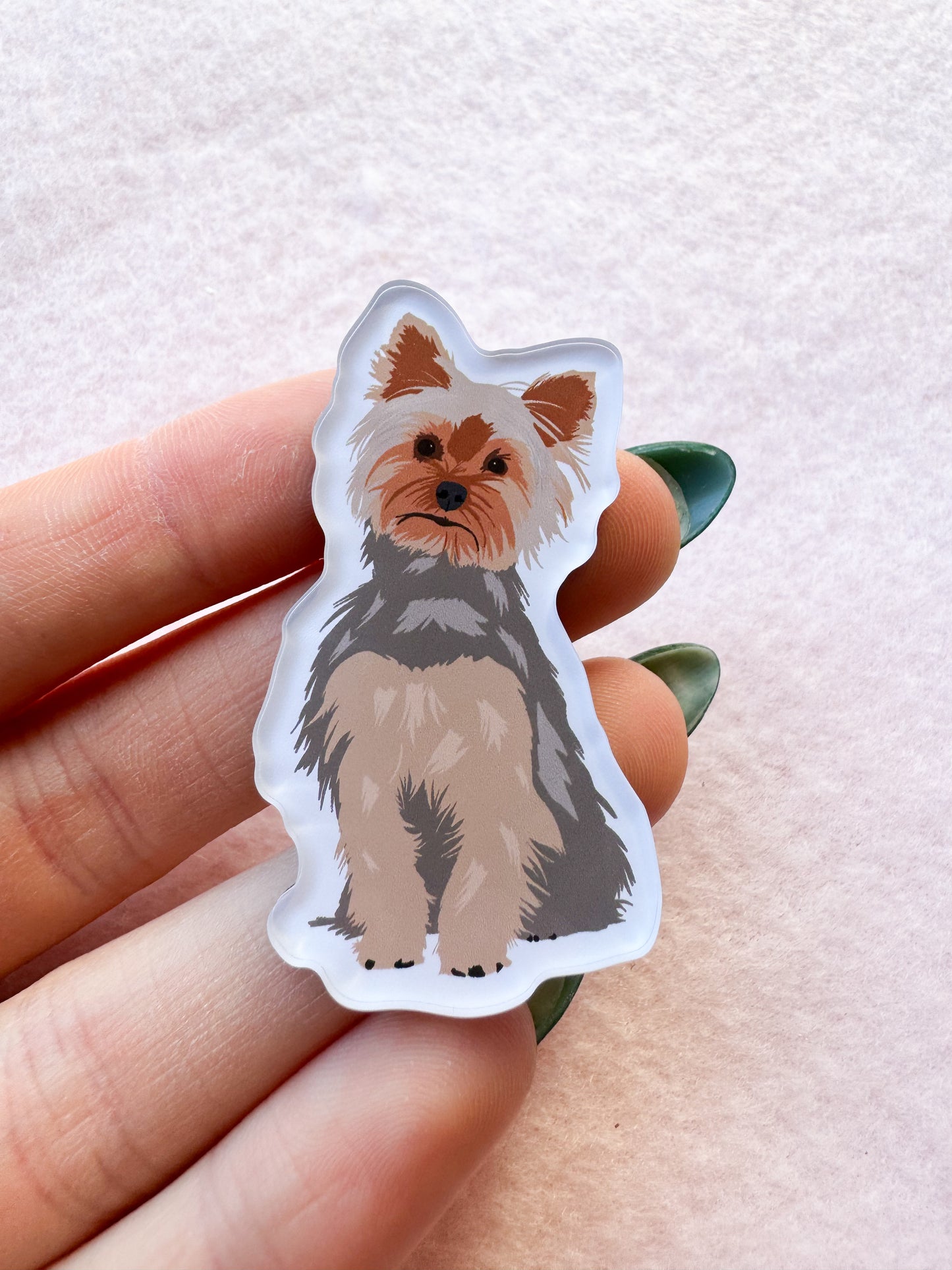 Yorkshire Terrier (blue & tan yorkie) Magnet
