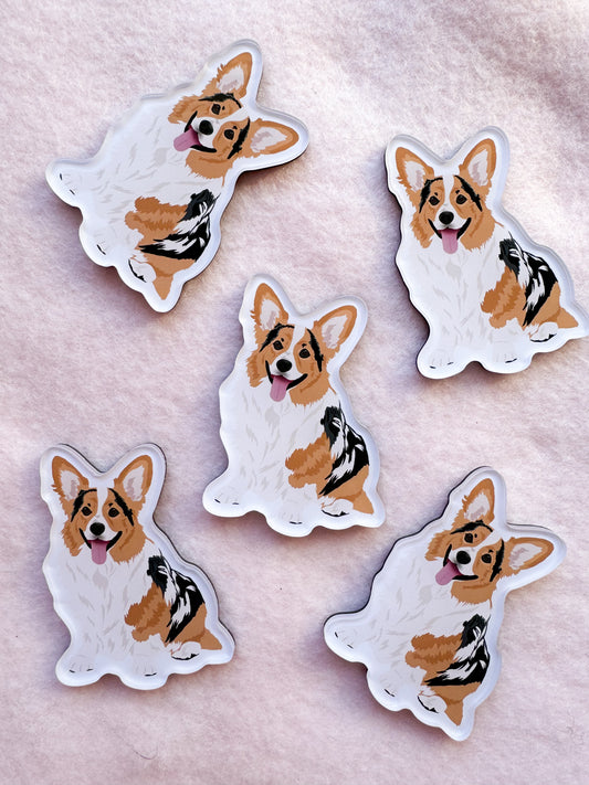 Corgi (merle) Magnet