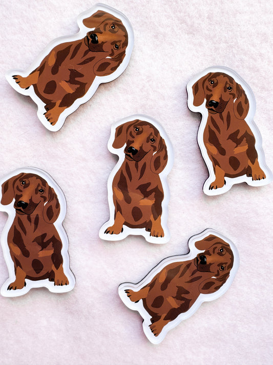 Dachshund (brown) Magnet