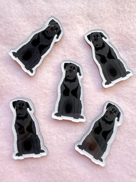Labrador (black lab) Magnet