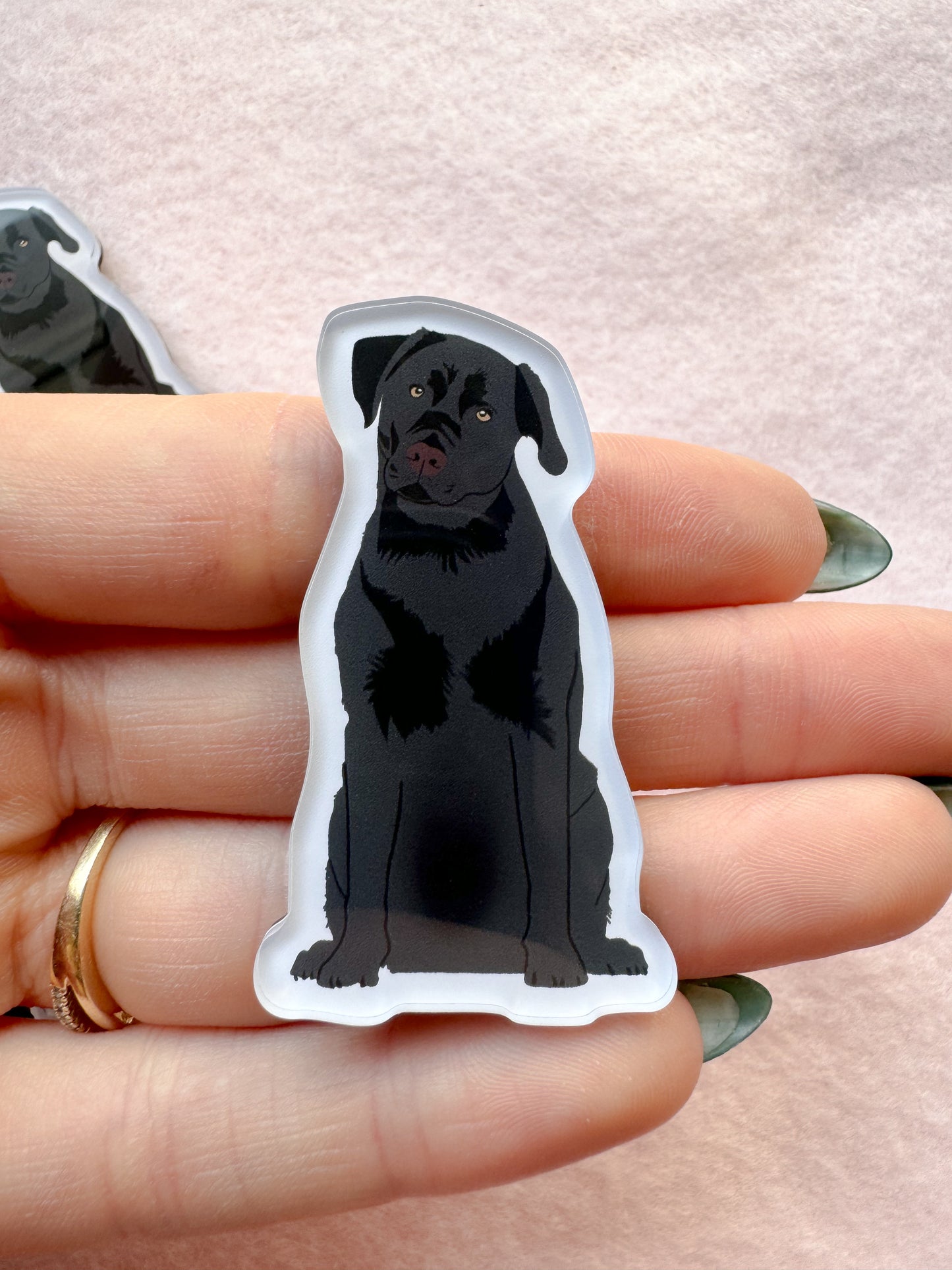 Labrador (black lab) Magnet