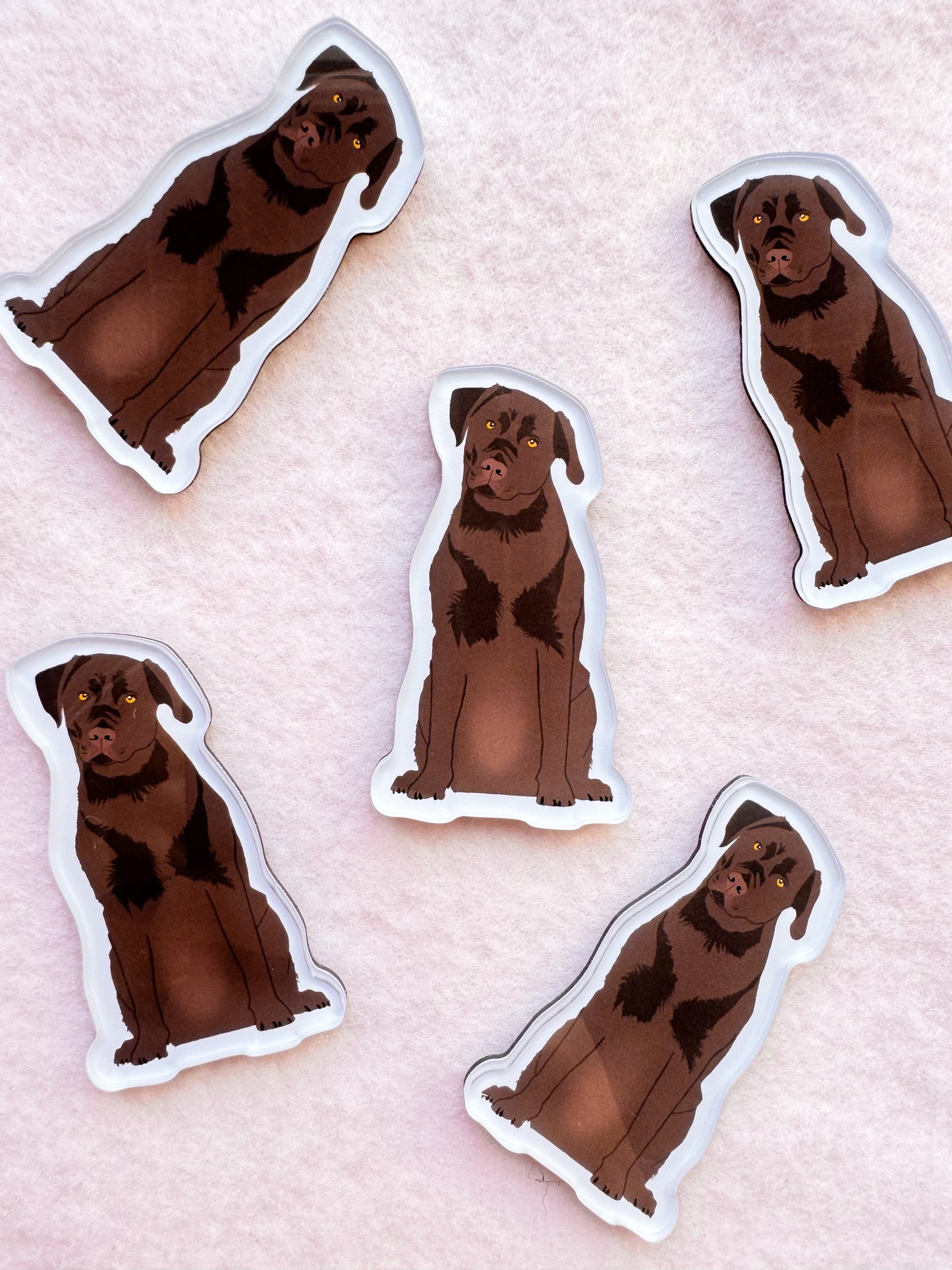 Labrador Retriever (chocolate lab) Magnet
