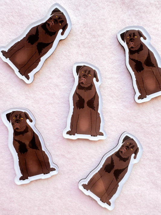Labrador Retriever (chocolate lab) Magnet