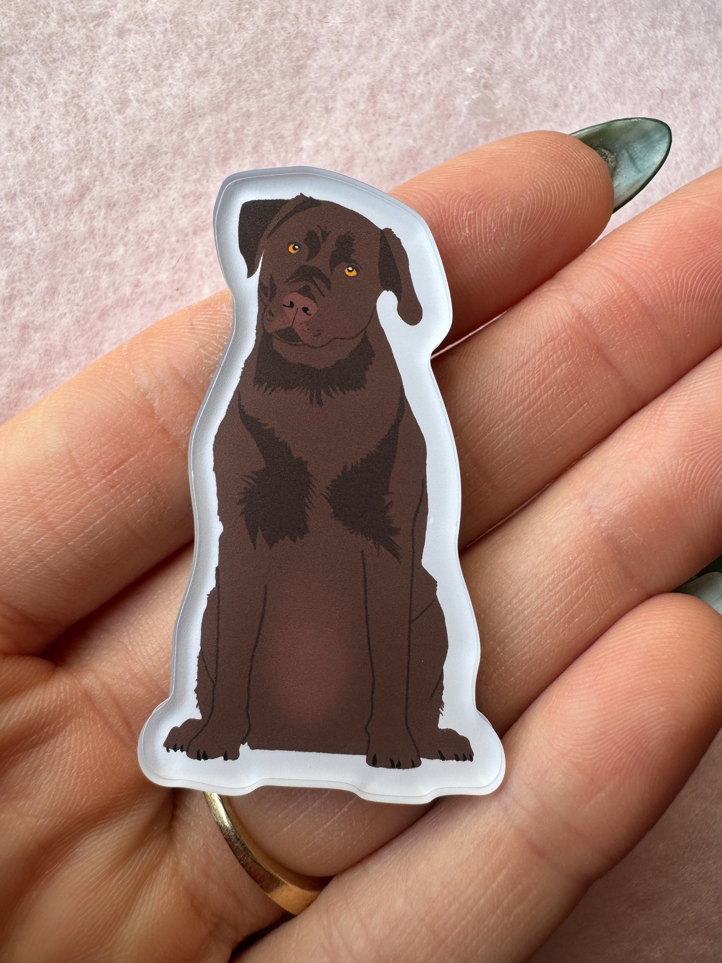 Labrador Retriever (chocolate lab) Magnet