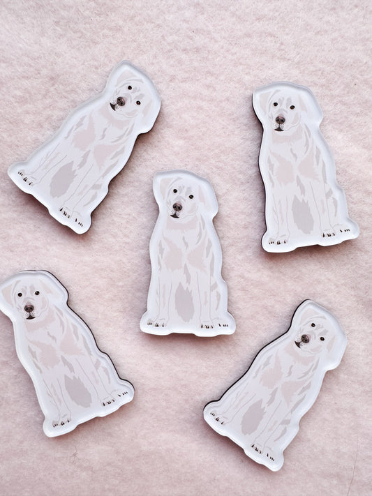 Labrador Retriever (white lab) Magnet