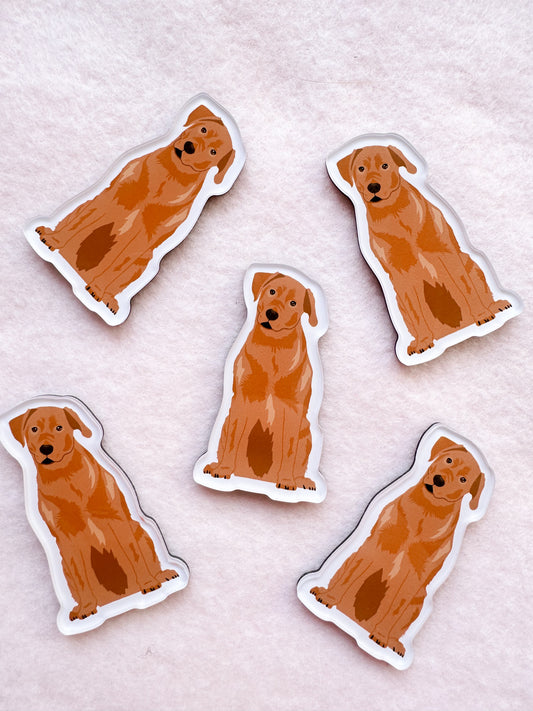 Labrador Retriever (red fox lab) Magnet