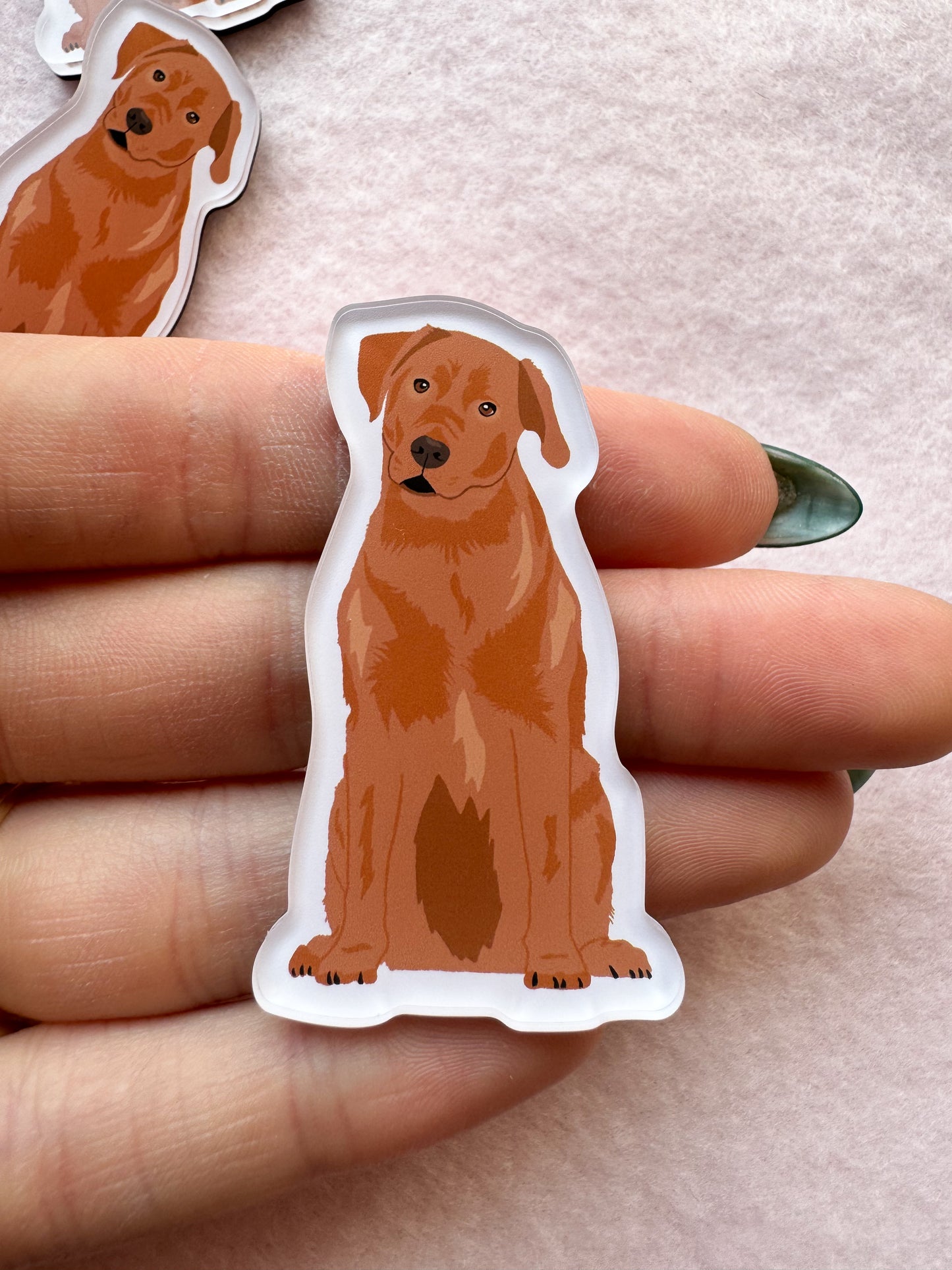Labrador Retriever (red fox lab) Magnet