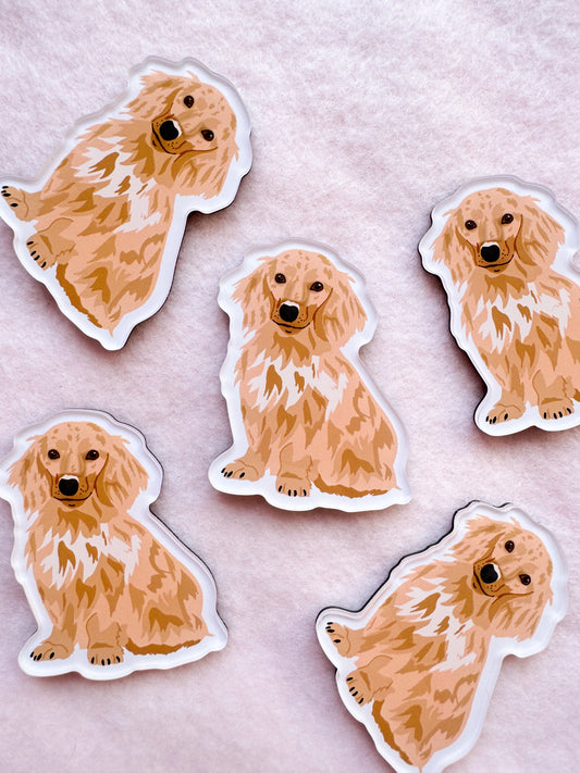 Dachshund (long haired blonde) Magnet