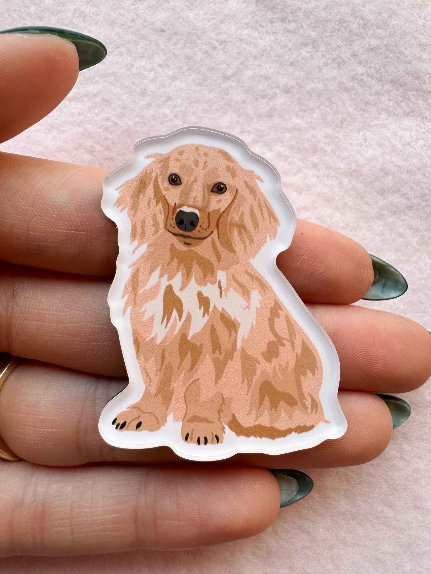 Dachshund (long haired blonde) Magnet