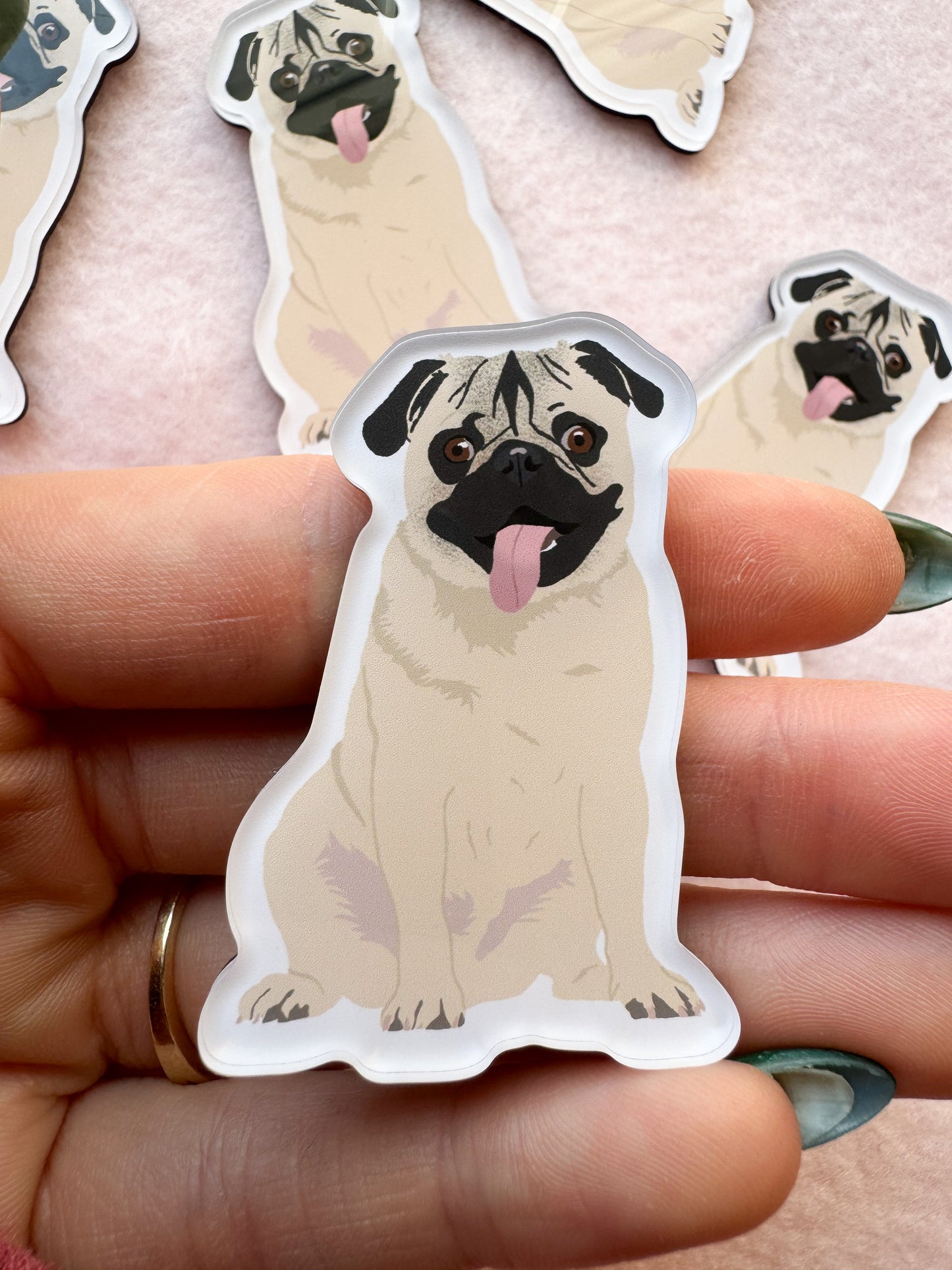 Pug (fawn) Magnet