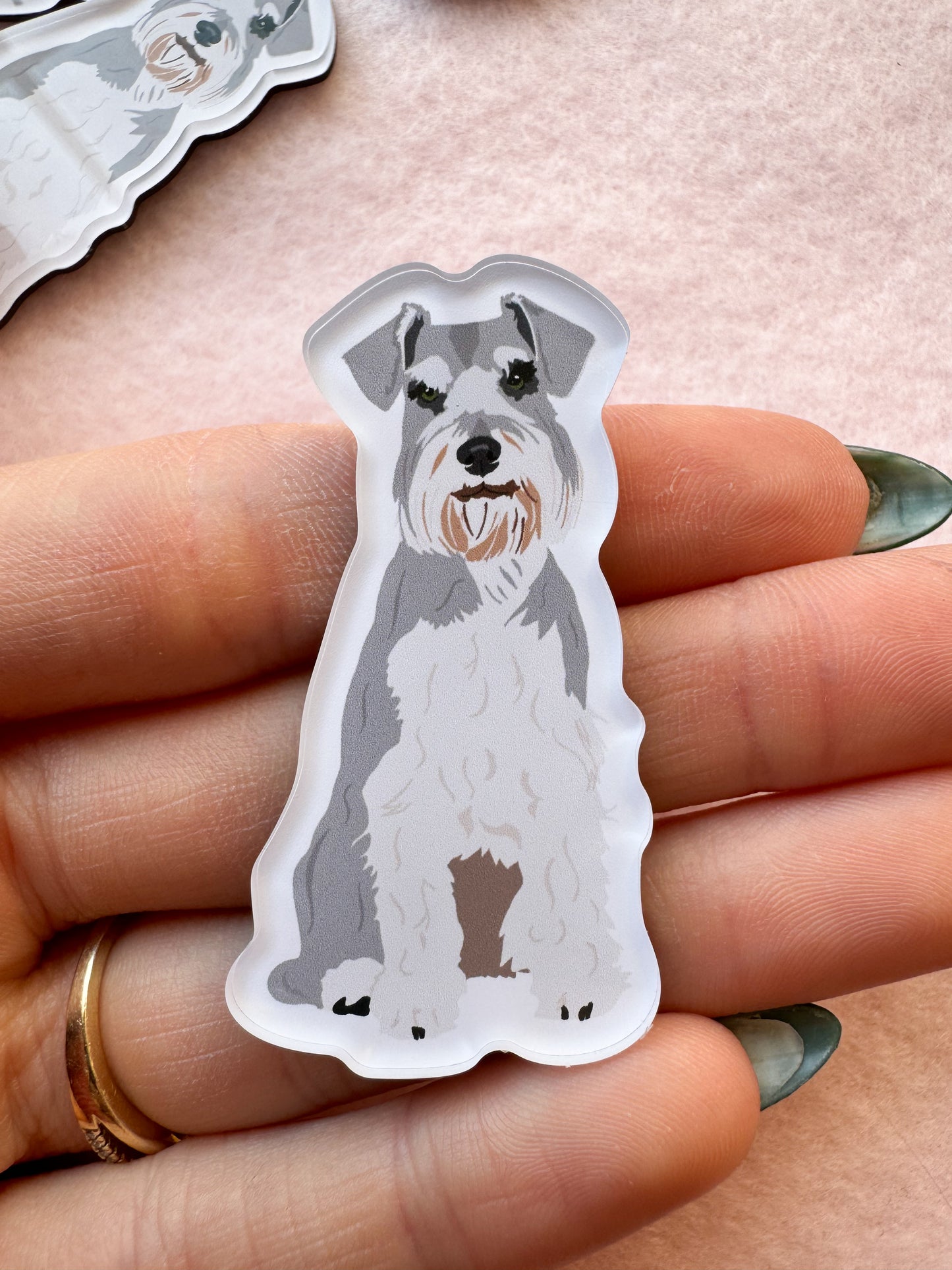 Schnauzer Magnet