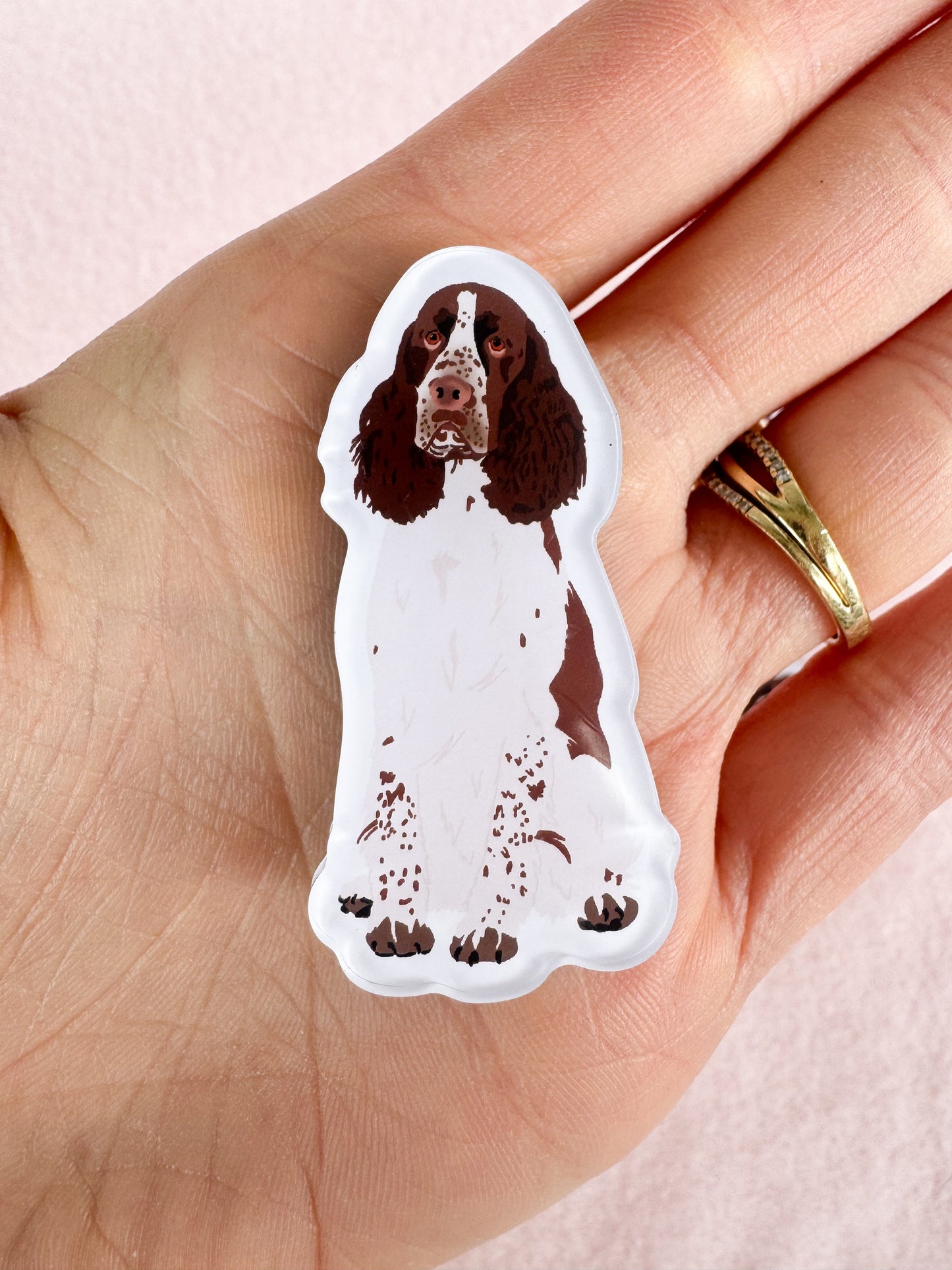 English Springer Spaniel Magnet