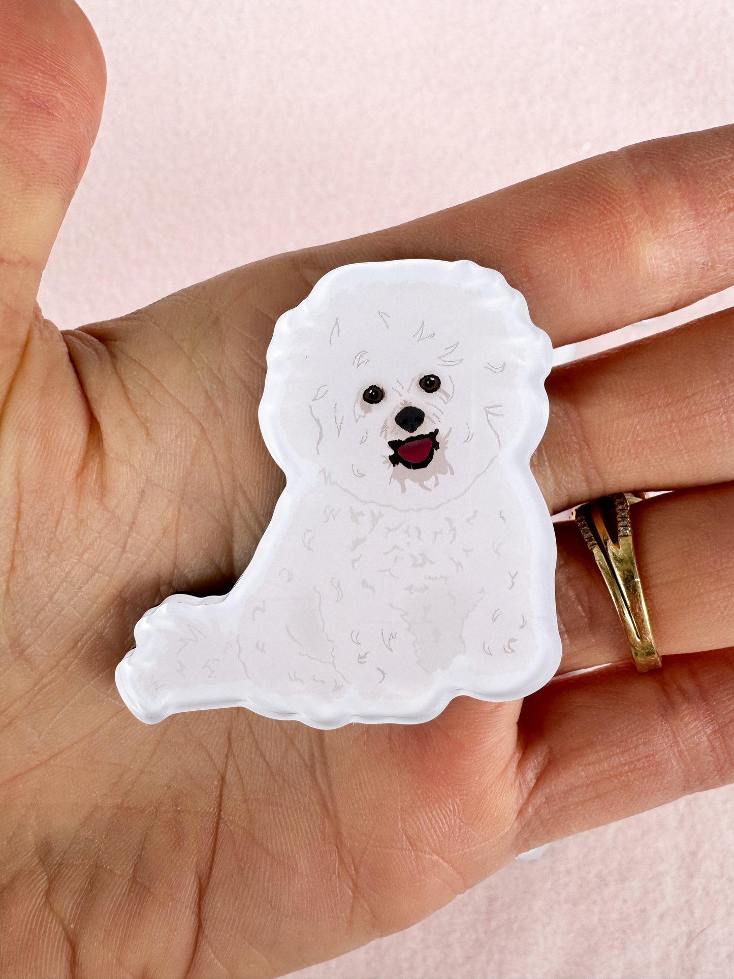 Bichon Frisé Magnet