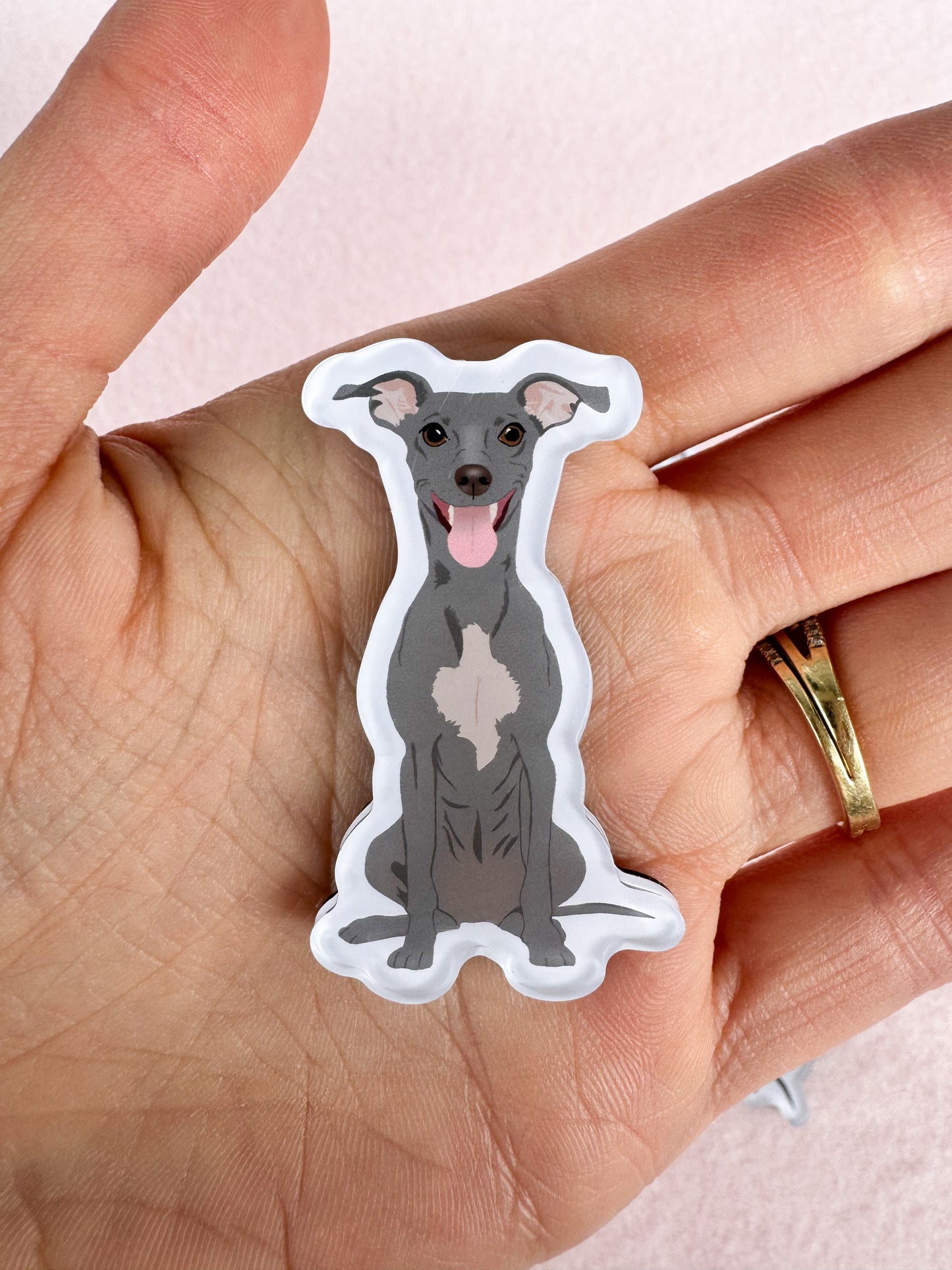 Italian Greyhound Magnet