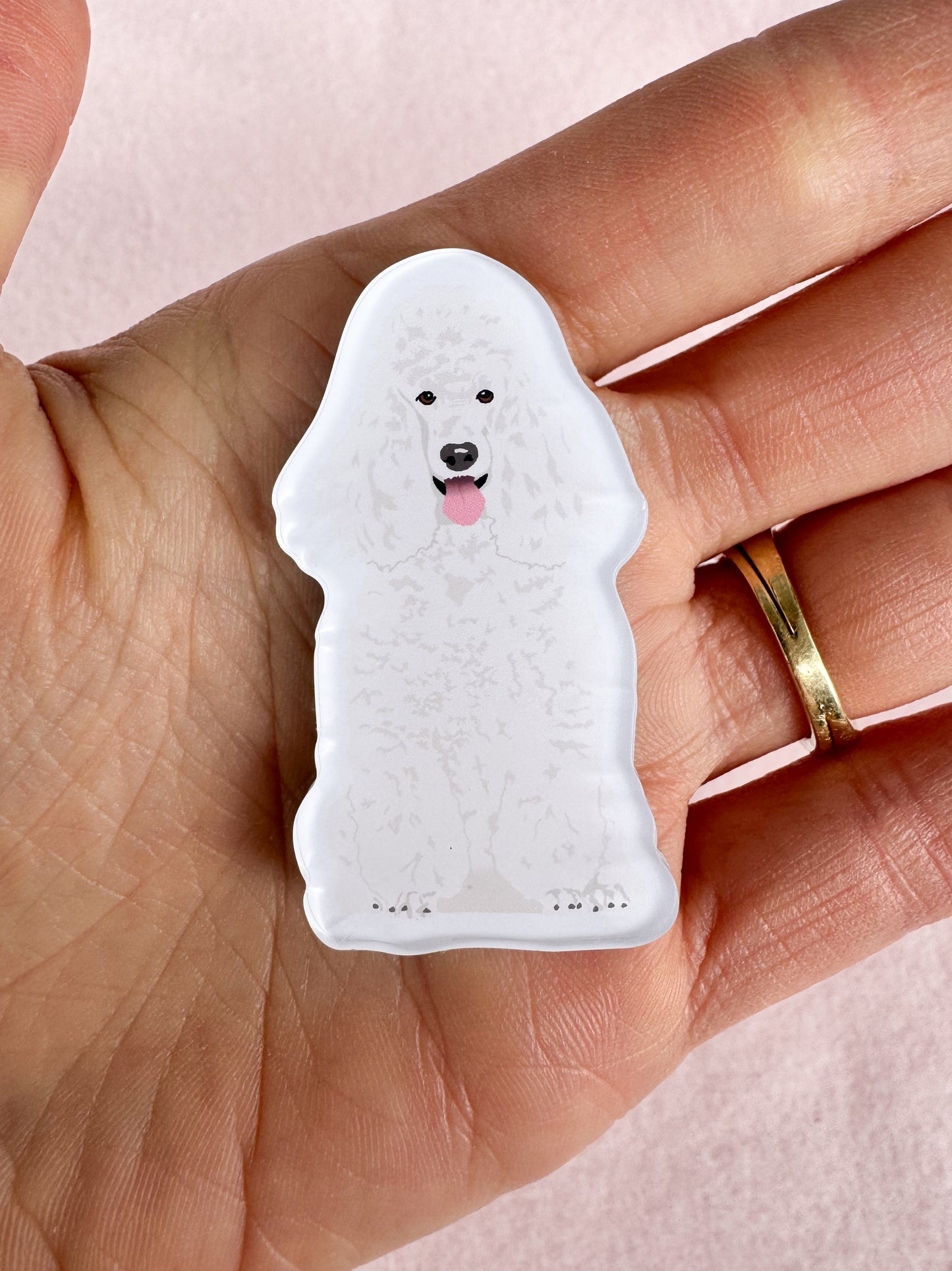 Poodle (white) Magnet