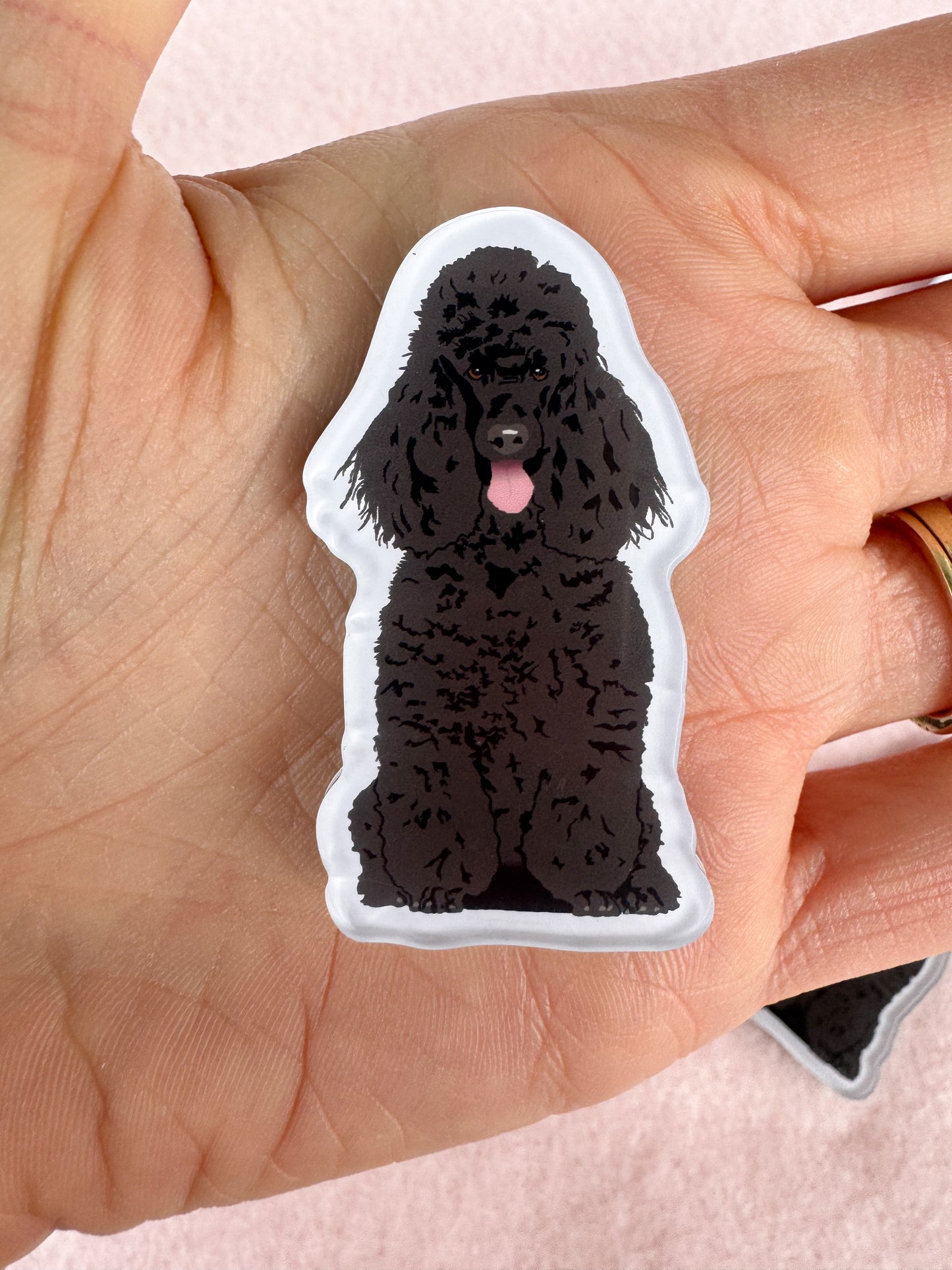 Poodle (black) Magnet