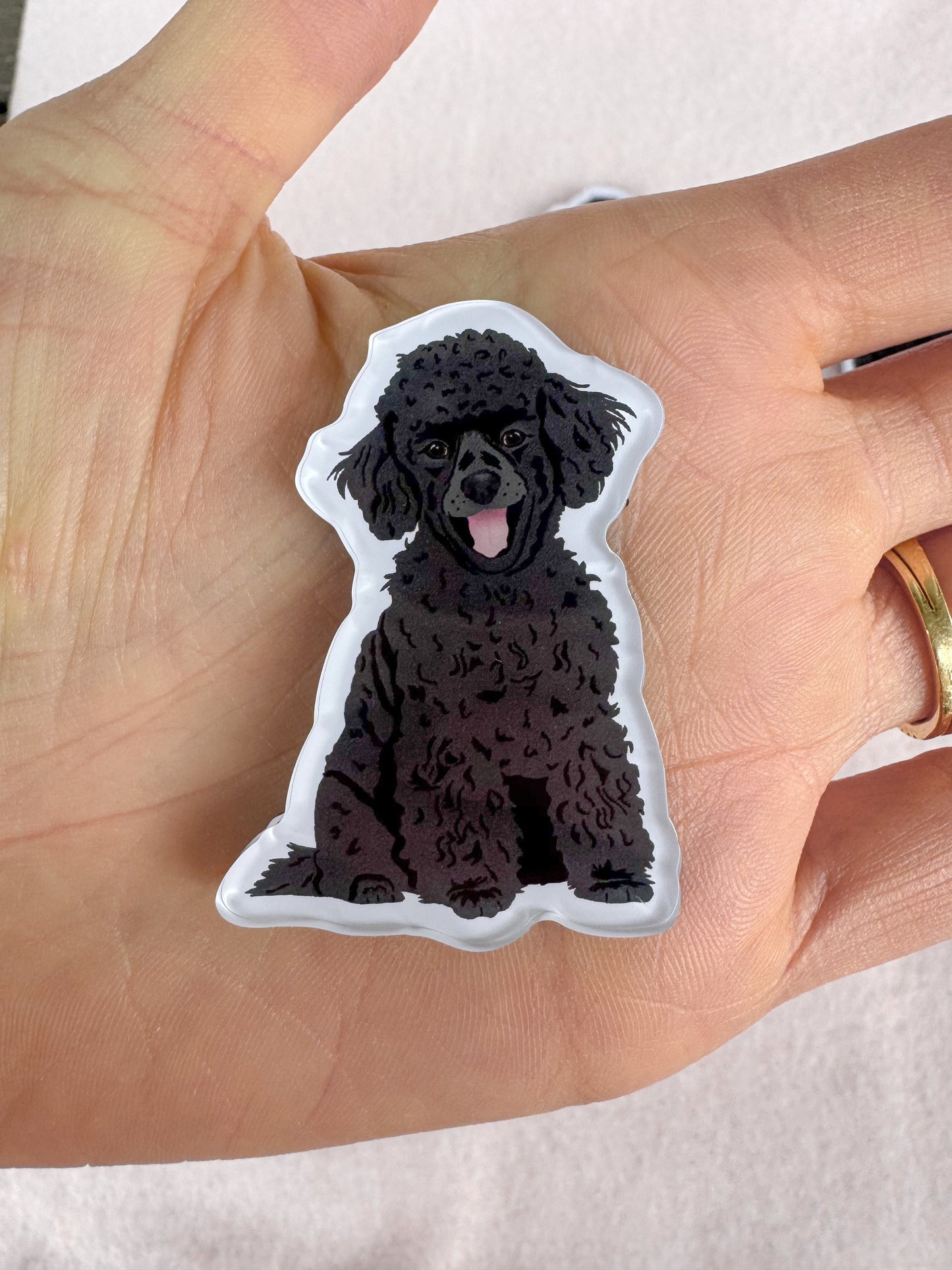 Mini Poodle, Toy Poodle (black) Magnet