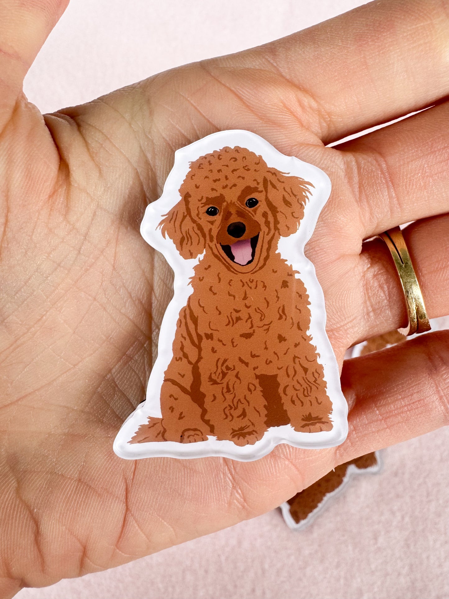 Mini Poodle, Toy Poodle (red) Magnet
