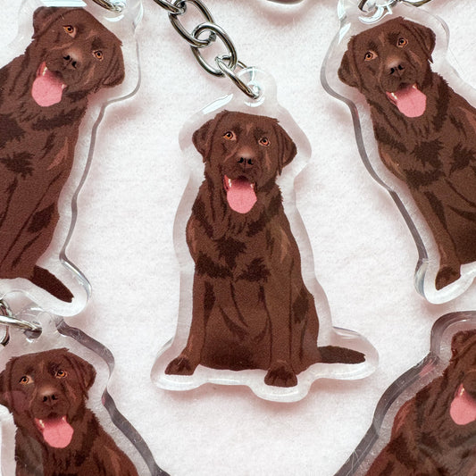 Labrador Retriever (chocolate) Keychain