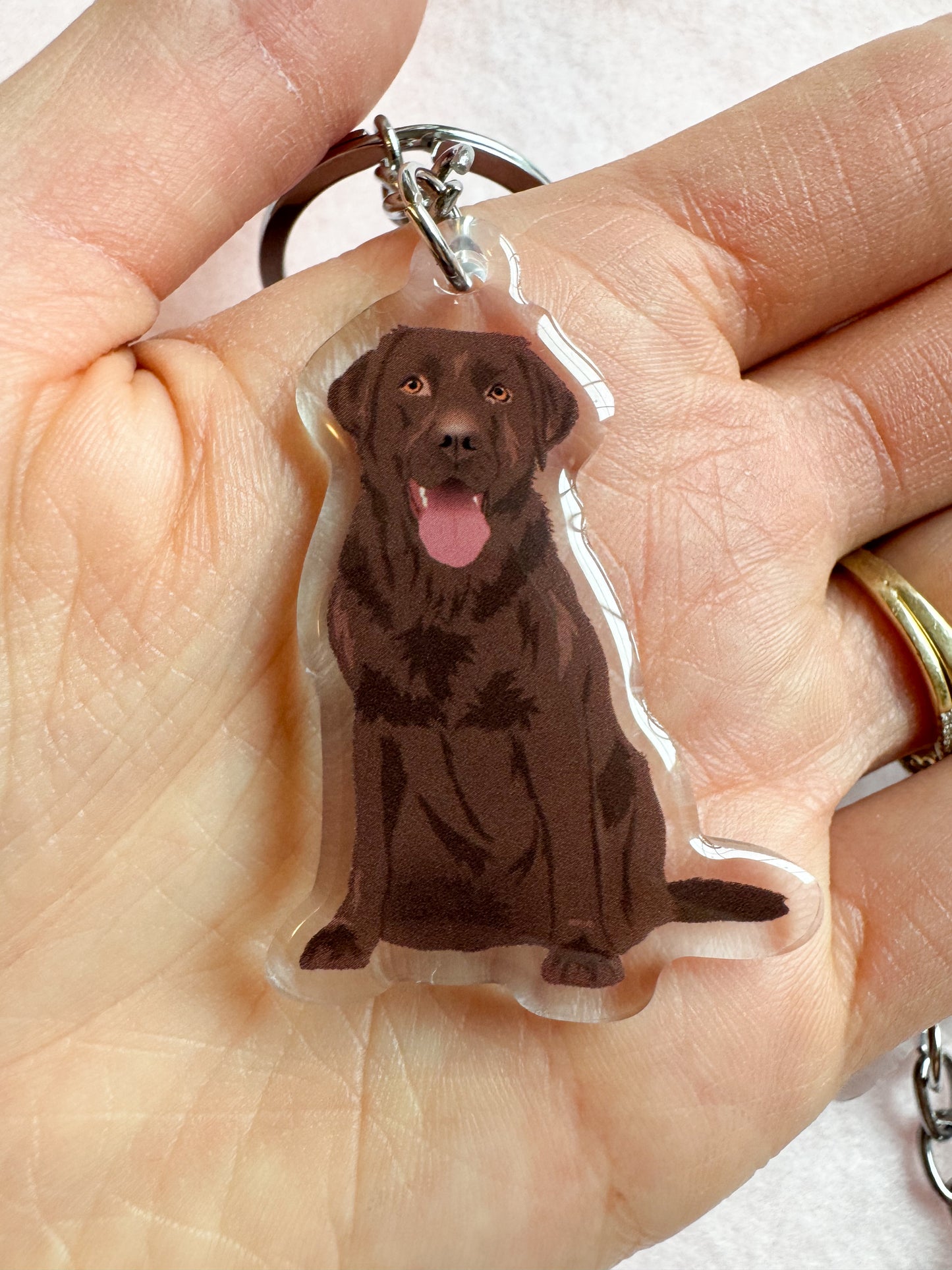 Labrador Retriever (chocolate) Keychain