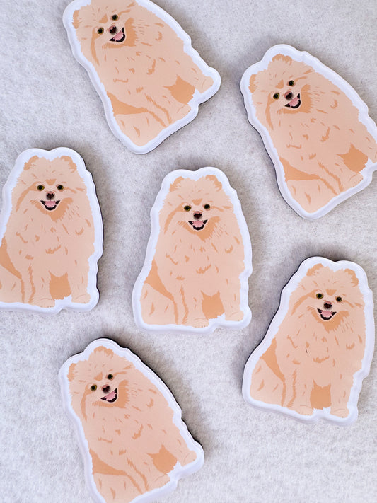 Pomeranian (blonde) Magnet