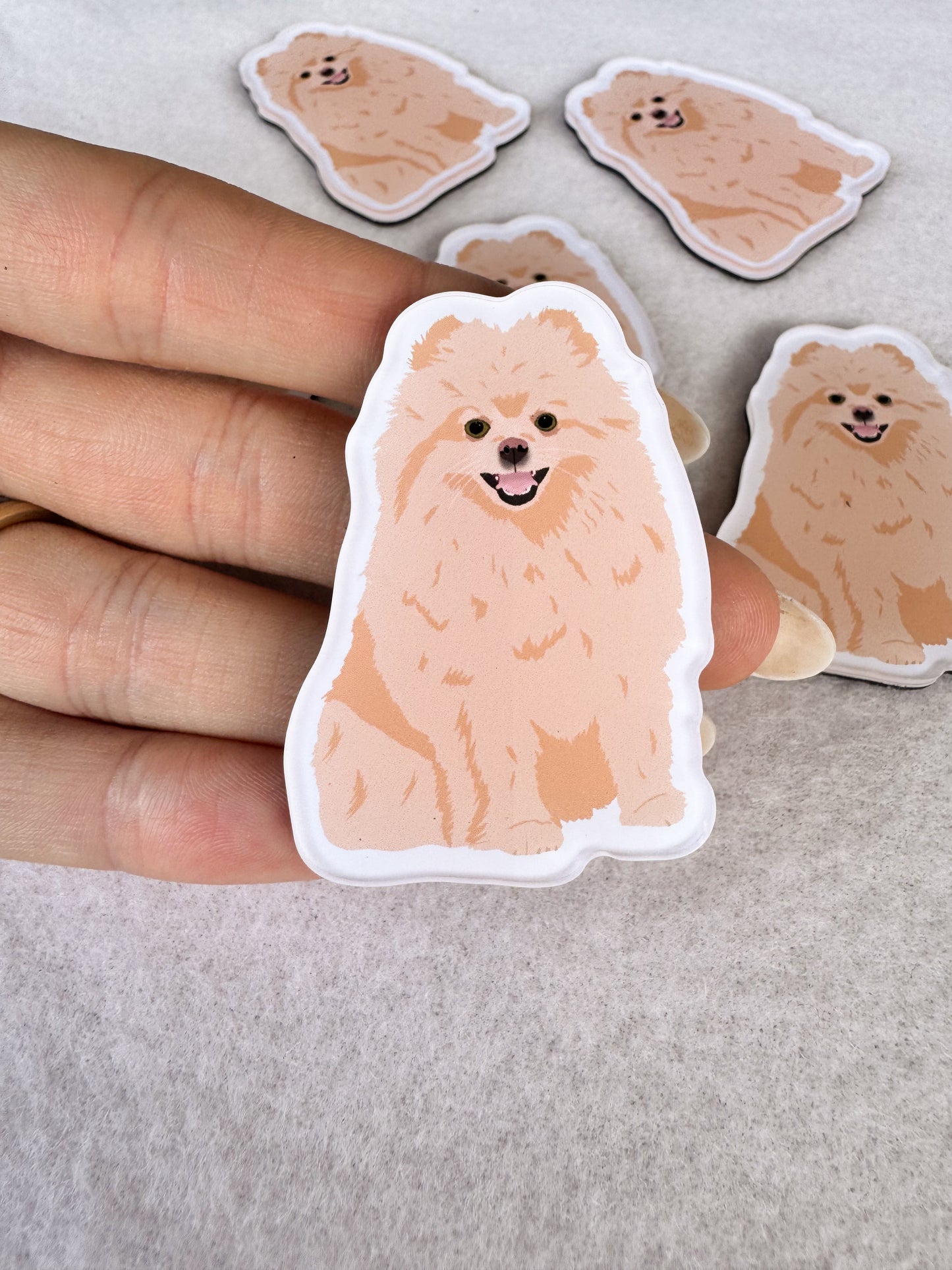 Pomeranian (blonde) Magnet