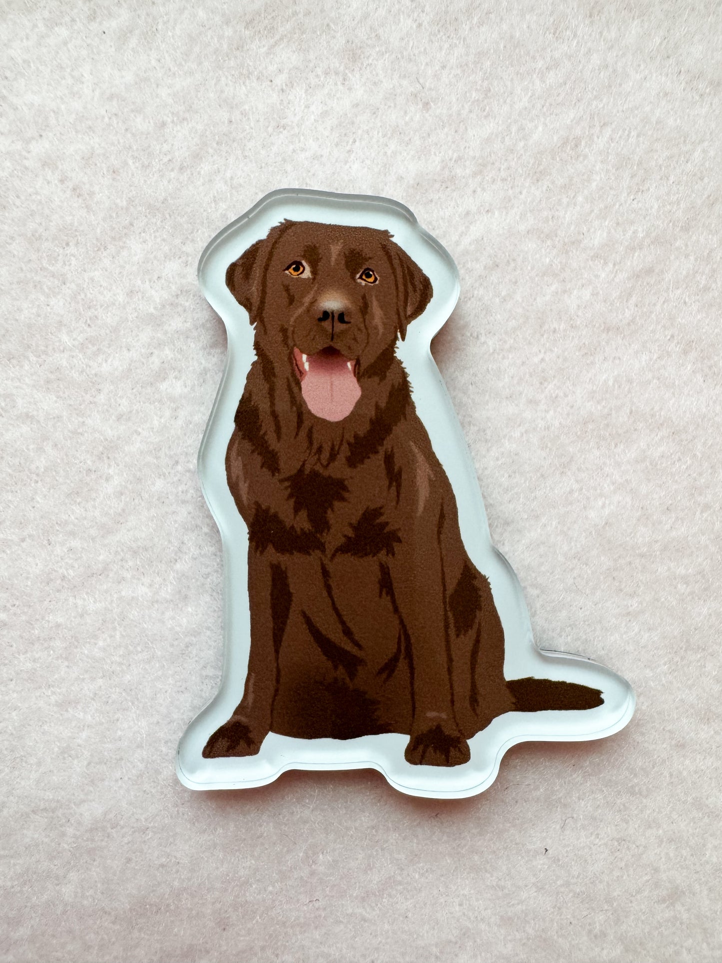Labrador Retriever (chocolate) Magnet