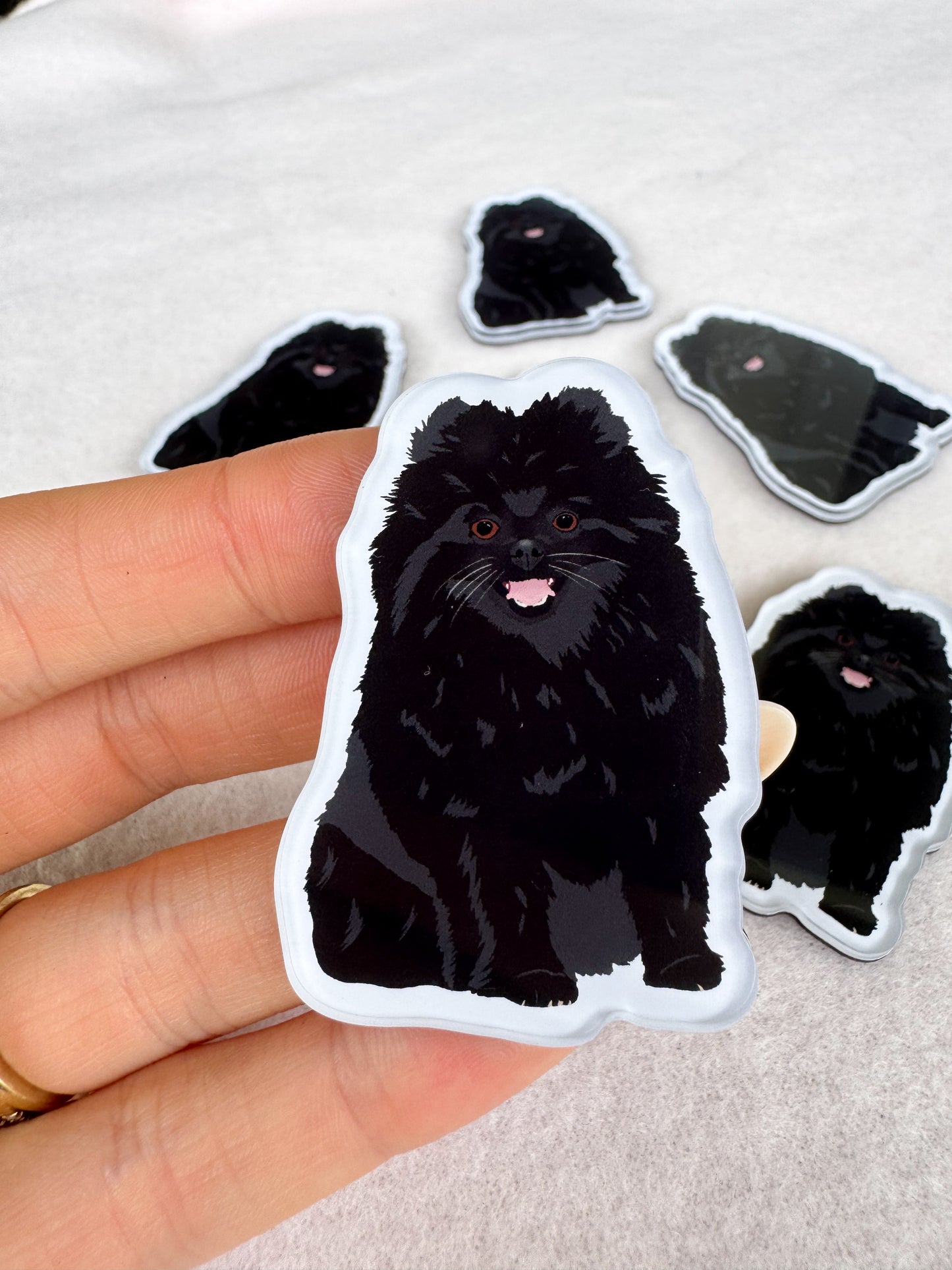 Pomeranian (black) Magnet