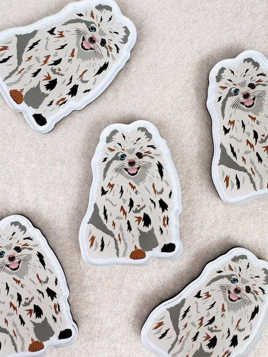 Pomeranian (Merle) Magnet