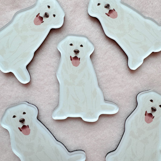 Labrador Retriever (white) Magnet