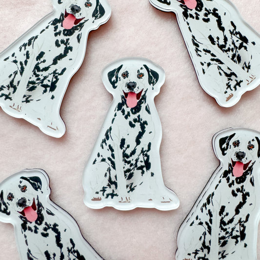 Dalmatian Magnet