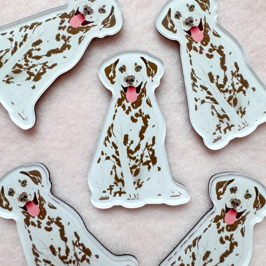 Dalmatian (liver) Magnet