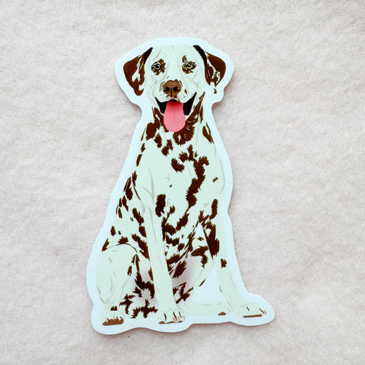 Dalmatian (liver) Sticker