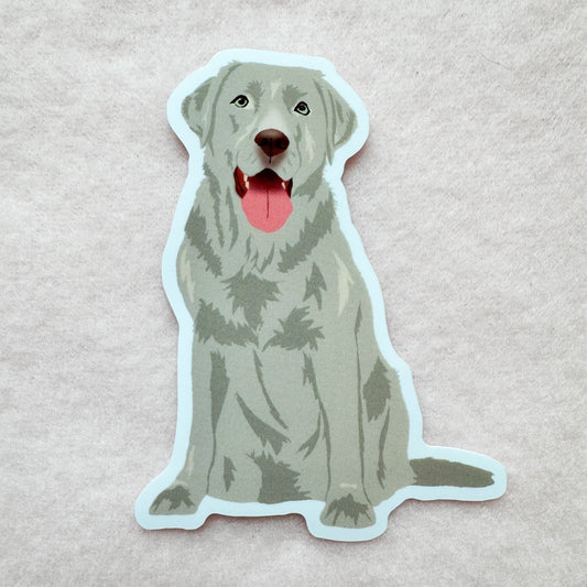 Labrador Retriever (silver), Blue Lacy Sticker