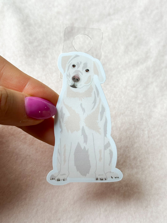 Labrador Retriever (white) Sticker