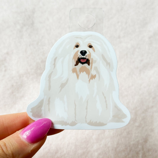 Havanese Sticker