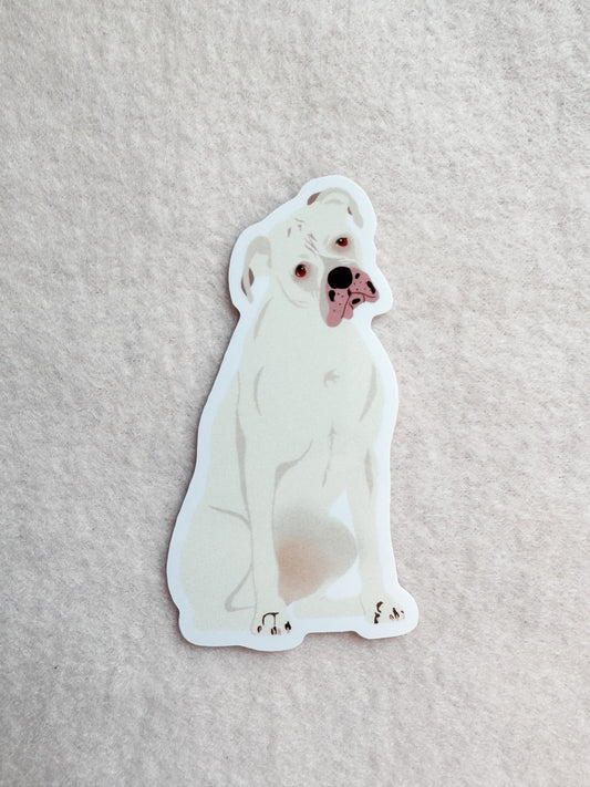 Boxer (white) Sticker