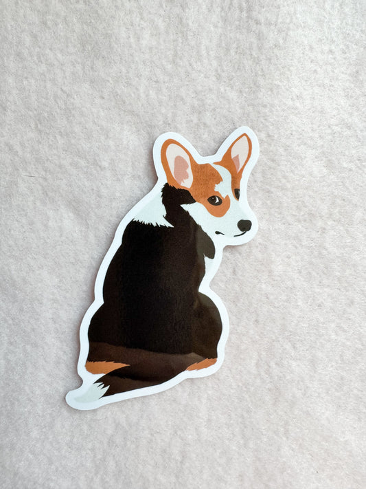Corgi (tricolor) Sticker