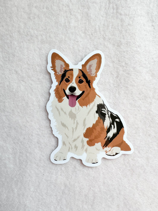 Corgi (merle) Sticker