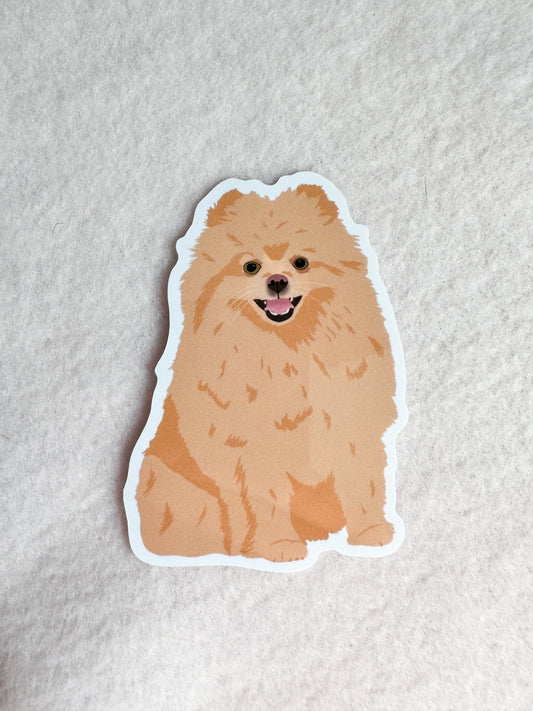 Pomeranian (blonde) Sticker
